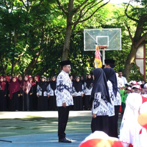 WhatsApp Image 2025-11-26 at 8.50.17 AM